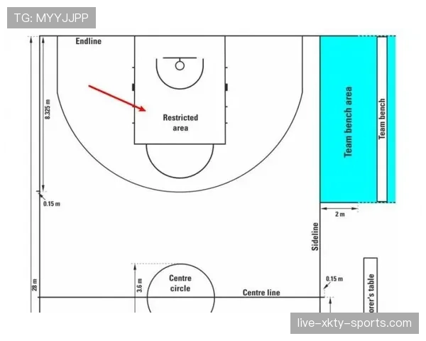 深度解读罚球规则NBA与FIBA区别的具体内容